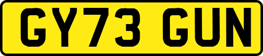 GY73GUN