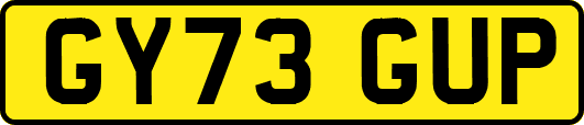 GY73GUP