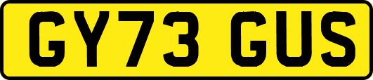 GY73GUS