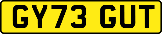 GY73GUT
