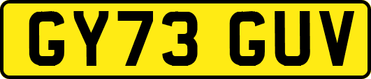 GY73GUV