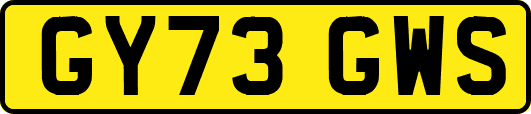 GY73GWS