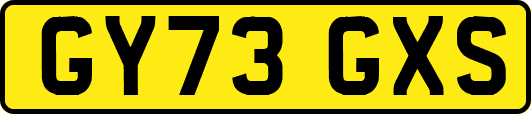 GY73GXS