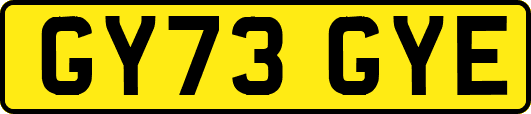 GY73GYE