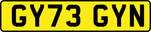 GY73GYN