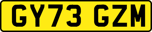 GY73GZM