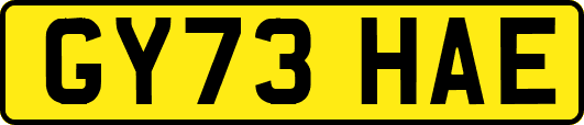 GY73HAE