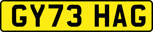 GY73HAG