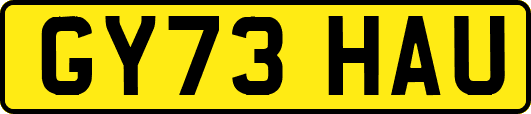 GY73HAU
