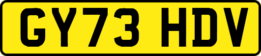 GY73HDV