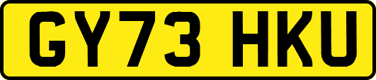 GY73HKU