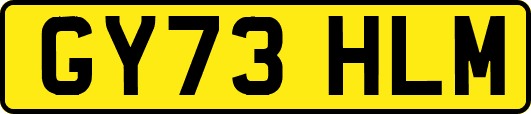 GY73HLM