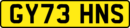 GY73HNS