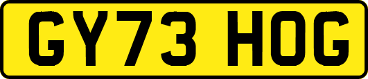 GY73HOG