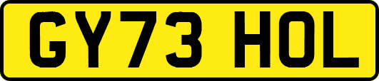 GY73HOL