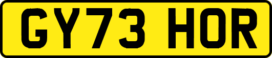 GY73HOR