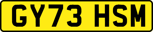 GY73HSM