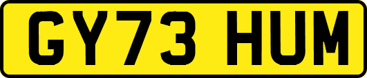 GY73HUM