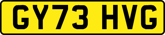 GY73HVG