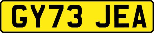 GY73JEA