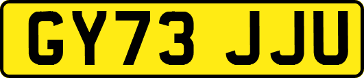 GY73JJU
