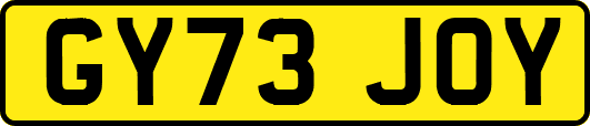 GY73JOY