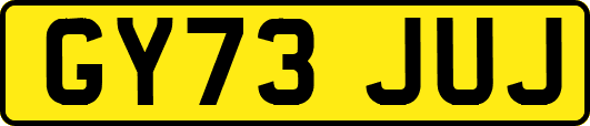 GY73JUJ