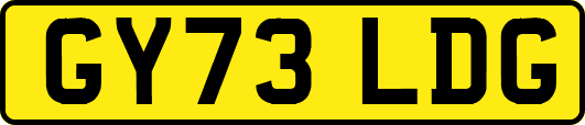 GY73LDG