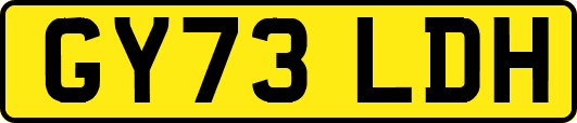GY73LDH