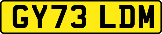 GY73LDM