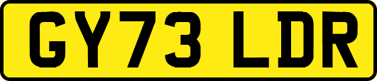 GY73LDR