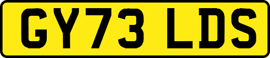 GY73LDS