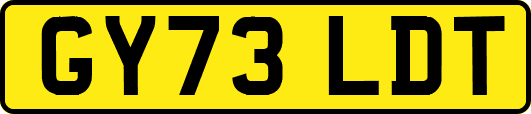 GY73LDT