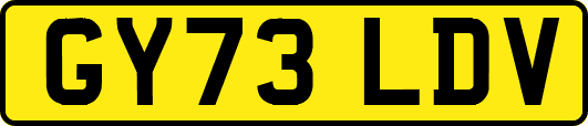 GY73LDV