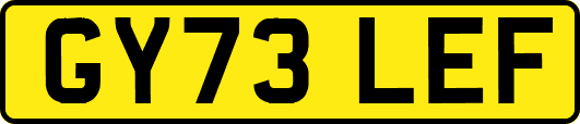 GY73LEF