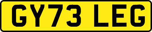 GY73LEG
