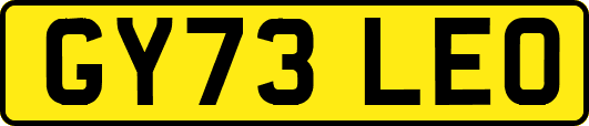 GY73LEO