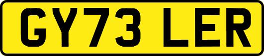 GY73LER