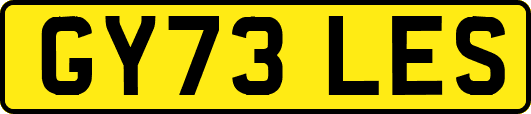 GY73LES