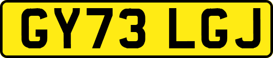 GY73LGJ