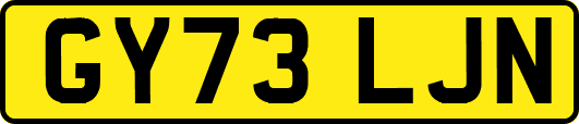 GY73LJN