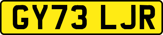 GY73LJR