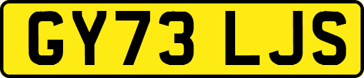 GY73LJS