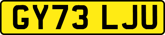 GY73LJU