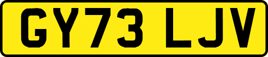 GY73LJV