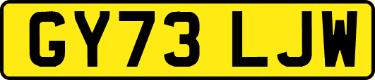 GY73LJW