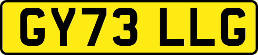 GY73LLG