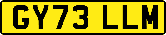 GY73LLM