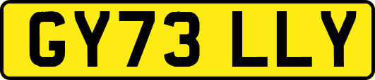 GY73LLY