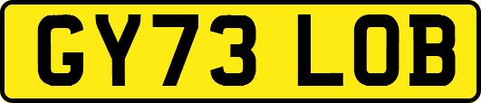 GY73LOB